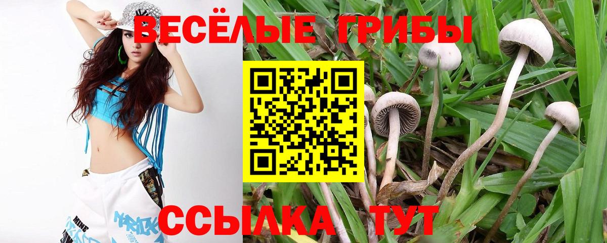 Галлюциногенные грибы Magic Shrooms Орехово-Зуево